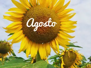 AGOSTO...e saldi